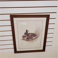 Framed Rabbit Art