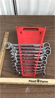 Standard Gearwrench ratchet wrenches