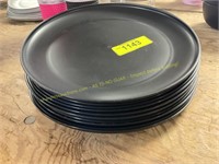 10ct.plastic dinner plates