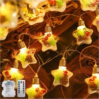 NEW 30LED 10FT Pinecone String Lights w/Remote