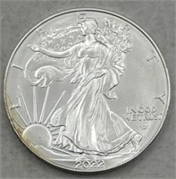 (Y) 2022 Silver Eagle Dollar