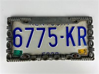 Kentucky license plate and cover