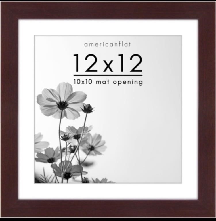 P889  Americanflat 12x12 Mahogany Picture Frame