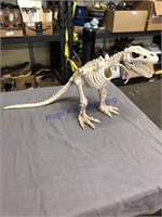 DINOSAUR SKELETON, MISSING ONE FRONT LEG