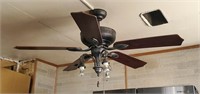 Ceiling Fan - Works (will be taken down before