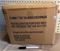 TIMMY THE TALKING SNOWMAN