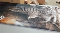 72x72 Elephant Printed Shower Curtain