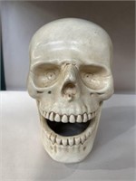 Ceramic skull