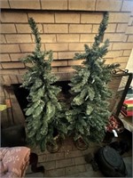 Two Christmas Trees