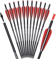 $40 Archery Arrows 18"