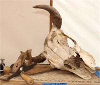 Bargain Lot: Cow Skull, Antique Draw Knife, Plane