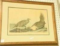 Framed Audubon engraving “Cock of the Plains”