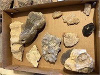 MISC FOSSILS AND ROCK
