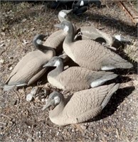 SEVEN FLOATING GOOSE DECOYS W/ WEIGHTS