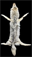 Large Coyote Fur Pelt