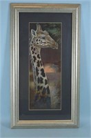 Framed Giraffe Picture