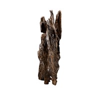Agarwood logs from the Qing Dynasty