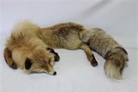 Beautiful Full Red Fox Fur Stole,