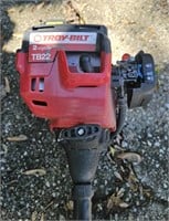 Toro 2-cycle gas powered weed eater. Not tested