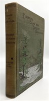 Fisheries Game and Forestry Commission Book 1898
