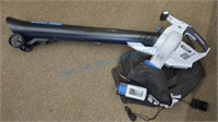 Hart 40 volt leaf vacuum with battery
