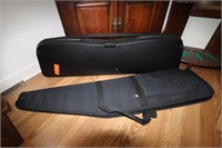 2 Gun Cases