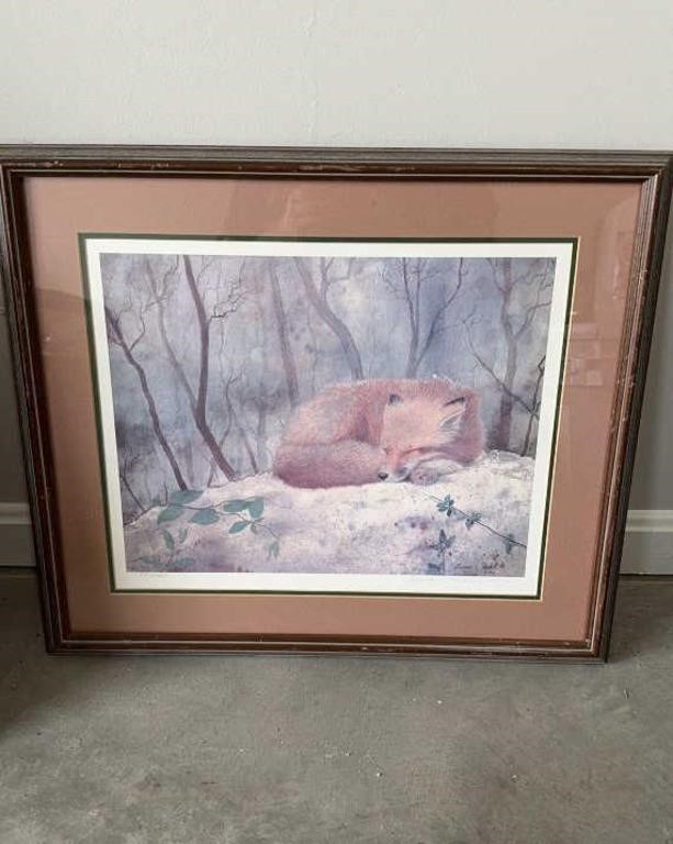 Framed signed print of a sleeping fox in the
