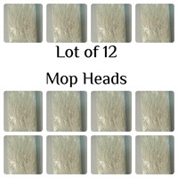Lot of 12 - Mopheads