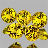 Natural Yellow Sapphire 5 Pcs {Flawless-VVS}