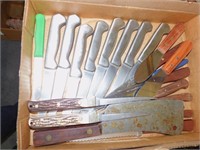 Kitchen knives  BR2