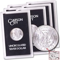 (6) Carson City GSA Morgan Dollars 2 each 82,83,84