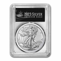 2023 1 Oz Burnished Silver Eagle Sp-70 Pcgs Fdi