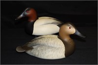 Pair of Full Size Canvasback Decoys by Oliver