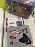 Scholastic shark book, and model kit