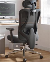 Hbada P3 Ergonnomic Office Chair with 2D