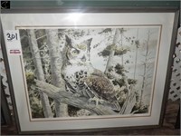 34" x 26" Owl Picture