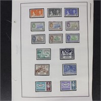British Honduras Stamps Mint NH on pages in mounts