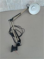 D5) Adjustable Lamp with Mount