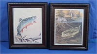 Framed Fish Prints
