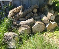 Lot of Firewood