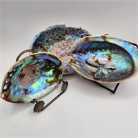 Trio of Abalone Shells