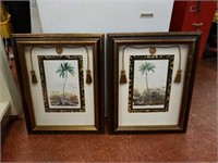 Two Palm tree pictures