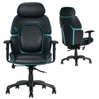 $190 - DPS Centurion Gaming Chair with Adjustable