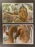 BIRDS: Set of ERDAL Trade Cards (1928)