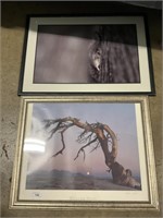 Pair of Framed Nature Prints, William Neil.