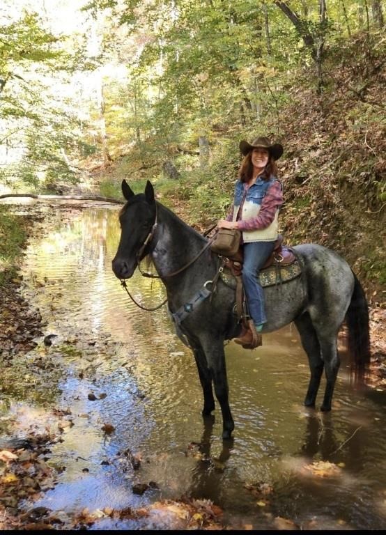 Lonesome Glove's Boudreaux -  Blue Roan Gelding