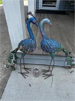 Yard peacocks pair