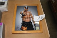 framed mysterio picture