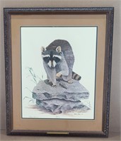 Raccoon Print By Gene Gray 1972