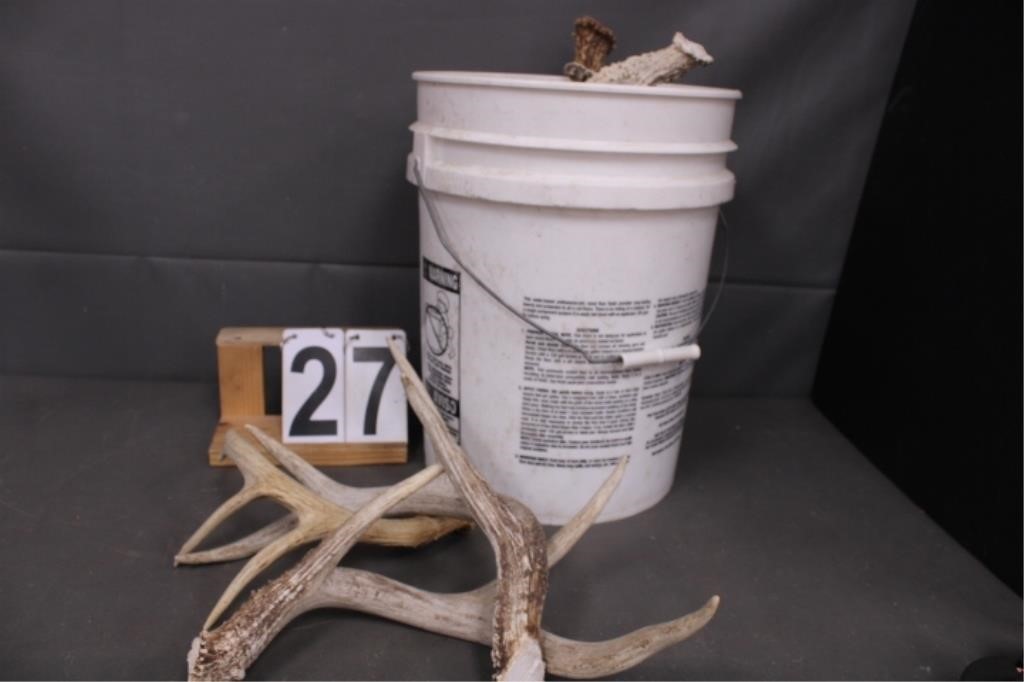 Shed Antler Horns And Cut Offs In White Bucket